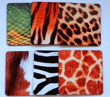 Animal Skin Coasters