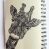 Note Book with Animal Doddles